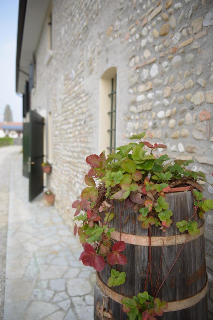 Ca' Premuda Locazione Turistica Vila Codognè Exterior foto